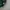 Nike Vintage Sweater Pria green photo 4