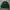 Nike Vintage Sweater Pria Green
