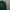 Nike Vintage Sweater Pria green photo 3