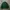 Nike Vintage Sweater Pria green photo 2