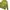 Gucci Y2K Luxury Blouse Wanita green photo 2