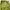 Gucci Y2K Luxury Blouse Wanita green photo 5