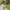 Gucci Y2K Luxury Blouse Wanita green photo 6