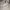 Nike Casual Sneakers Pria gray photo 1