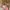 Uniqlo Casual Kids multicolor tan photo 3