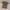 Uniqlo Casual Kids multicolor tan photo 1