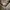 Beauty & Youth United Arrows Casual Casual shirt Pria white gray photo 4
