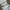 Nike Streetwear Sportswear Sneakers Pria gold khaki photo 5