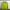 Uniqlo Gorpcore Puffer Jacket Pria Green