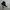Converse Streetwear Casual Sneakers Pria white black photo 4