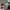 Converse Streetwear Casual Sneakers Pria white black photo 3