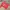 Casual Jersey Pria red photo 5