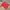 Casual Jersey Pria red photo 2