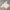 Sportswear Jersey Pria white photo 5