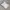 Sportswear Jersey Pria white photo 1