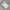 Sportswear Jersey Pria White