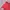 Sportswear Jersey Pria red photo 7