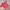 Sportswear Jersey Pria red photo 2