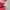 Sportswear Jersey Pria red photo 5