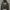 Reworked Track jacket Pria white black photo 3