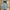 Burberry Vintage Parka Wanita cream photo 1