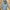 Burberry Vintage Parka Wanita cream photo 8