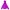 The North Face Gorpcore Sportswear Track jacket Wanita purple photo 1