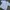 Y2K Skater T-shirt Pria white gray photo 3