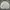 Mark Gonzales Streetwear Luxury Sweatshirt Pria white gray photo 2