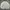 Mark Gonzales Streetwear Luxury Sweatshirt Pria White Gray