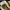 Nike Streetwear Sportswear Sneakers Wanita white yellow photo 5