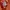 WHO.A.U Casual Hoody Pria orange photo 3