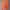 WHO.A.U Casual Hoody Pria orange photo 1