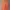 WHO.A.U Casual Hoody Pria Orange