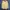 Casual Sweater Wanita yellow photo 1