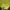 Kappa Sportswear Casual Windbreaker Wanita yellow photo 4