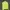 Kappa Sportswear Casual Windbreaker Wanita yellow photo 5