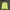 Kappa Sportswear Casual Windbreaker Wanita yellow photo 1