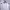 Casual Casual dress Wanita white photo 1