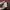Burberry Vintage Casual Sweatshirt Pria multicolor photo 4