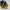 Adidas Casual Casual shoe Pria yellow photo 2