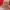 Nike Casual Sneakers Pria red photo 7
