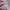 Avant Garde Indie Cardigan Wanita pink photo 7