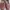 TOMS Luxury Casual shoe Pria brown photo 1
