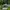 Topi cabelas realtree photo 1