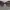 Metrocity Luxury Sunglass Wanita burgundy photo 4