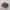Adidas Casual Sneakers Pria brown photo 1