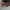 Calvin Klein Luxury Sunglass Wanita burgundy photo 3