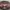 Calvin Klein Luxury Sunglass Wanita burgundy photo 1
