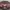 Calvin Klein Luxury Sunglass Wanita Burgundy
